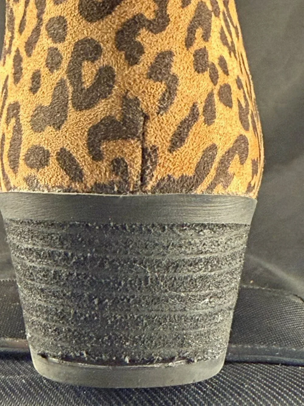 Circus by Sam Edelman these striking